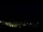 Webcam in Caçu, 365.5 mi away