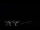 Webcam in Boqueirão do Leão, 812.4 km entfernt