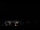 Webcam in Boqueirão do Leão, 2975.4 km