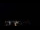 Webcam in Boqueirão do Leão, 1057.5 km