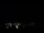 Webcam in Boqueirão do Leão, 141.7 km