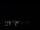 Webcam in Boqueirão do Leão, 3033.1 km