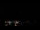 Webcam in Boqueirão do Leão, 1088.4 km