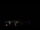 Webcam in Boqueirão do Leão, 1774.5 km
