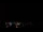 Webcam in Boqueirão do Leão, 313.8 mi away