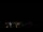 Webcam in Boqueirão do Leão, 275.8 mi away