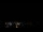 Webcam in Boqueirão do Leão, 3033.1 km