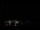 Webcam in Boqueirão do Leão, 1148 mi away