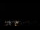 Webcam in Boqueirão do Leão, 1622.5 km