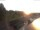 Webcam in Oberwiesenthal, 4.9 mi away