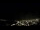 Webcam in Aracaju, 12.5 km