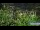 Webcam in Gubeikou, 107.5 km entfernt