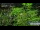 Webcam in Gubeikou, 488.2 km entfernt