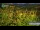 Webcam in Gubeikou, 84.9 km