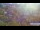 Webcam in Gubeikou, 68.3 km