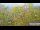 Webcam in Gubeikou, 7.1 km