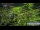 Webcam in Gubeikou, 488.2 km