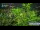 Webcam in Gubeikou, 68.3 km