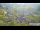 Webcam in Gubeikou, 418.1 km entfernt