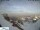 Webcam in Urnäsch, 9.1 km entfernt
