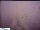 Webcam in Urnäsch, 4 mi away