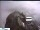 Webcam in Urnäsch, 0.1 km