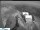 Webcam in Urnäsch, 0 km