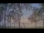 Webcam at the Houghton Lake, Michigan, 54.7 mi away
