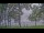 Webcam at the Houghton Lake, Michigan, 107.3 mi away
