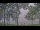 Webcam in Houghton Lake, Michigan, 171.9 km