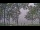 Webcam in Houghton Lake, Michigan, 217.2 km