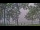 Webcam am Houghton Lake, Michigan, 117.4 km entfernt