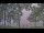 Webcam am Houghton Lake, Michigan, 139.1 km entfernt
