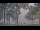 Webcam at the Houghton Lake, Michigan, 41.8 mi away