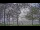 Webcam at the Houghton Lake, Michigan, 91.9 mi away