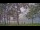 Webcam in Houghton Lake, Michigan, 68.2 km