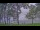 Webcam in Houghton Lake, Michigan, 96.6 km