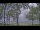 Webcam in Houghton Lake, Michigan, 117.4 km
