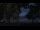 Webcam at the Houghton Lake, Michigan, 164.4 mi away