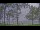 Webcam in Houghton Lake, Michigan, 268 km