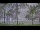 Webcam am Houghton Lake, Michigan, 268 km entfernt