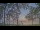 Webcam at the Houghton Lake, Michigan, 36.6 mi away