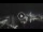 Webcam in Sydney, 683 km