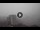 Webcam in Sydney, 6 km entfernt