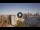 Webcam in Sydney, 258.1 mi away