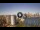 Webcam in Sydney, 267.2 mi away