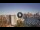 Webcam in Sydney, 283.9 mi away