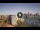 Webcam in Sydney, 450.7 mi away