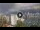 Webcam in Sydney, 668.8 km entfernt