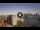 Webcam in Sydney, 1168 km entfernt